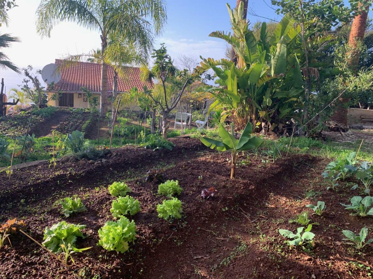 Ferienwohnung Finca Monica La Matanza De Acentejo Exterior foto